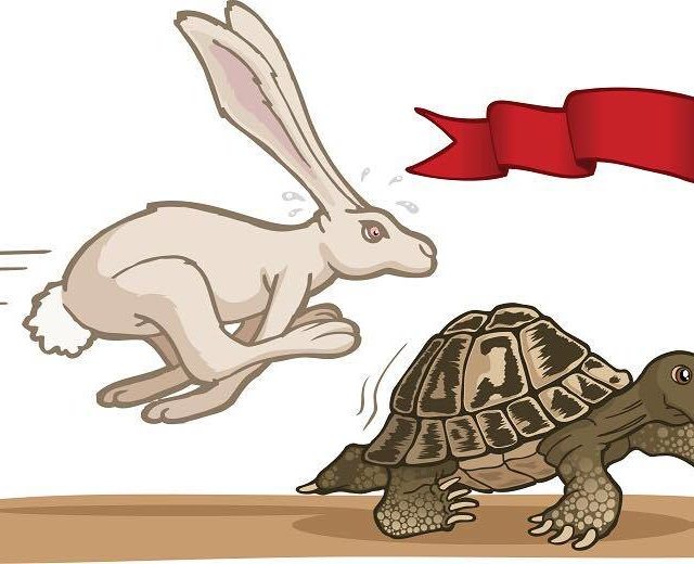 Tortoise and Hare Challenge 2017 - Virtual Runner