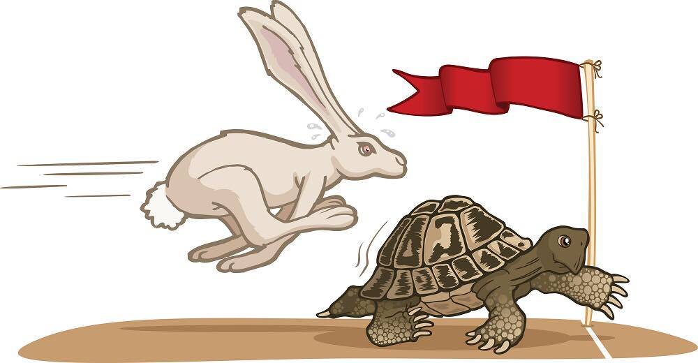 tortoise-and-hare-challenge-2017-virtual-runner